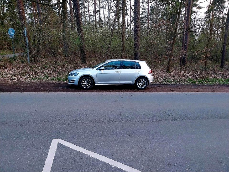 Golf 7 in Silber in Wolfsburg