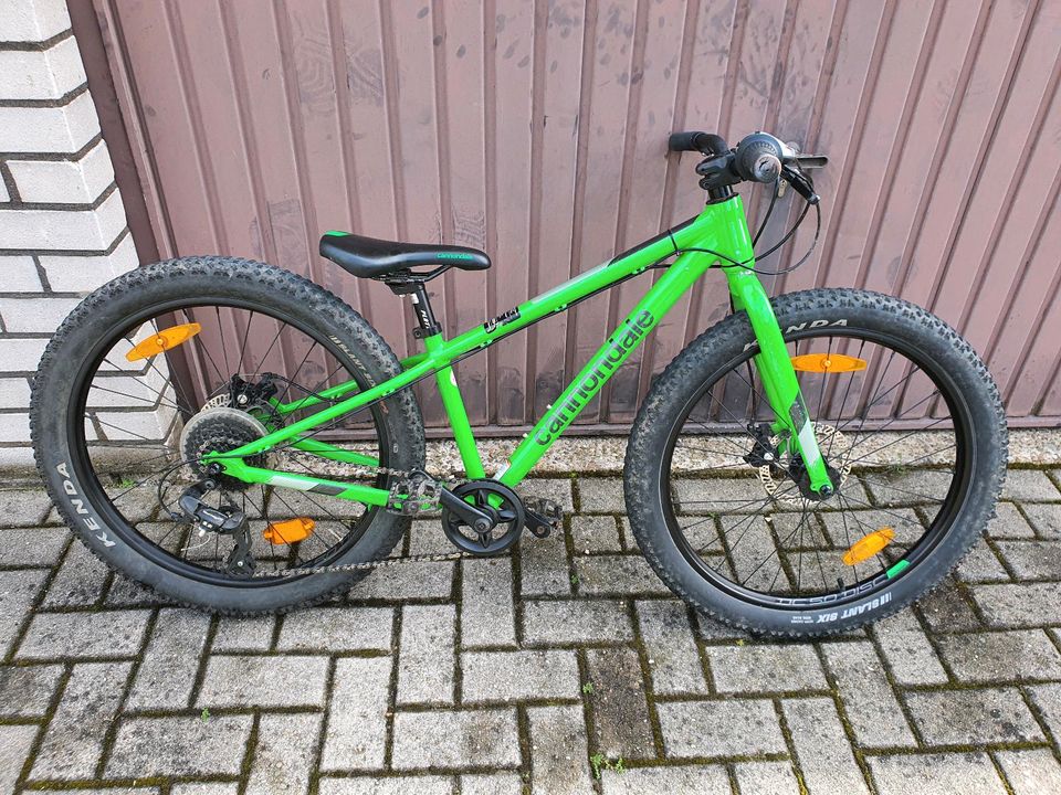 Cannondale Kids Cujo 24 in Georgsmarienhütte