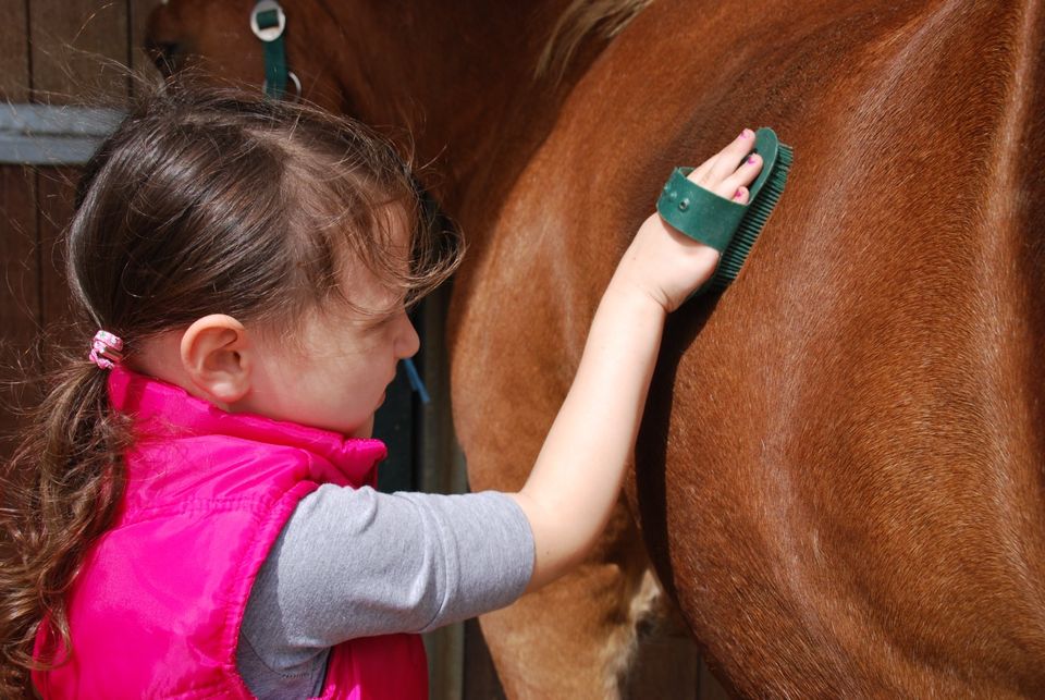 Reitpädagogisches integratives Gruppenangebot am 8.6. von 14-16 h in Viersen