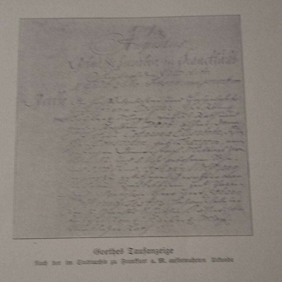 Antiquarisches Buch... GOETHE... von 1910 in Haseldorf