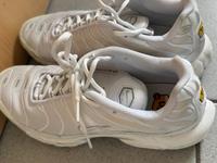 Nike Air Max Plus (Tns) Größe 42 weiß Niedersachsen - Braunschweig Vorschau