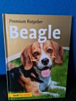Buch Beagle Premium Ratgeber Tier Hund Schleswig-Holstein - Groß Vollstedt Vorschau