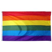 Regenbogen Flagge Gay Pride CSD ca.148x88cm/140x90 ab €5,00 Köln - Humboldt-Gremberg Vorschau