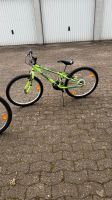 Erstklassige fahrräder Nordrhein-Westfalen - Löhne Vorschau