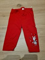 3/4 Leggings Hase Hessen - Hohenroda Vorschau