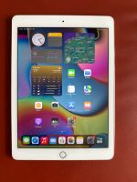 iPad Air 2 64GB WiFi (Displayfehler) Saarland - Losheim am See Vorschau