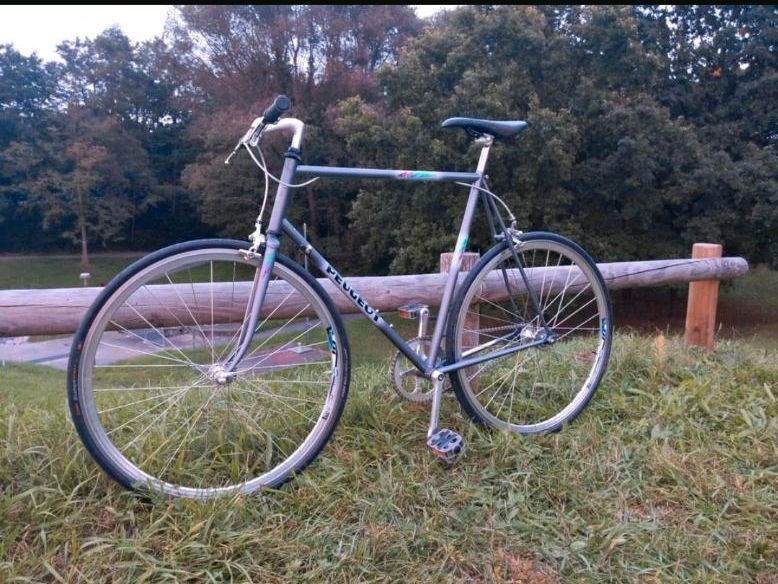 Peugeot Campagnolo Singlespeed in Nürnberg (Mittelfr)