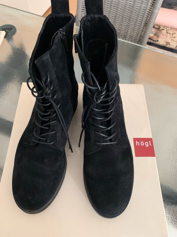 Högl Stiefelette, Challenger, Schwarz, 37.5 EU in Ehningen