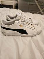 puma schuhe Nordrhein-Westfalen - Rheine Vorschau