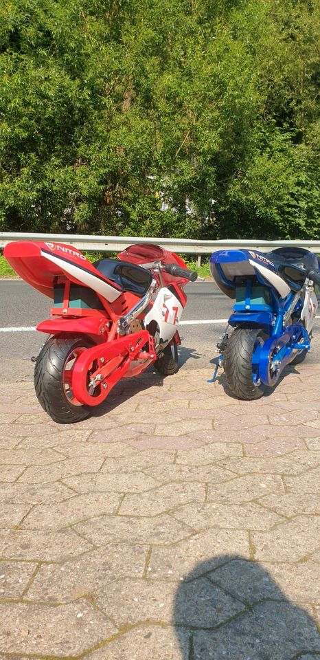 Eco mini Kinder Pocketbike Sport Kinder Elektro Motorrad 1000w in Bad Breisig 