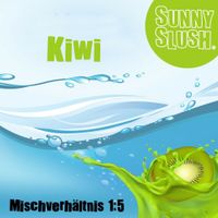 Slush Eis Sirup - Kiwi | 5 Liter | SunnySlush Nordrhein-Westfalen - Steinfurt Vorschau