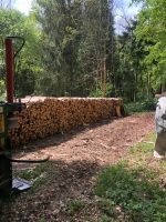 Brennholz Meterholz Hessen - Hilders Vorschau