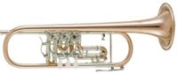 V.F. Cerveny CTR701R Goldmessing Konzert - Trompete, NEUWARE Niedersachsen - Hagenburg Vorschau