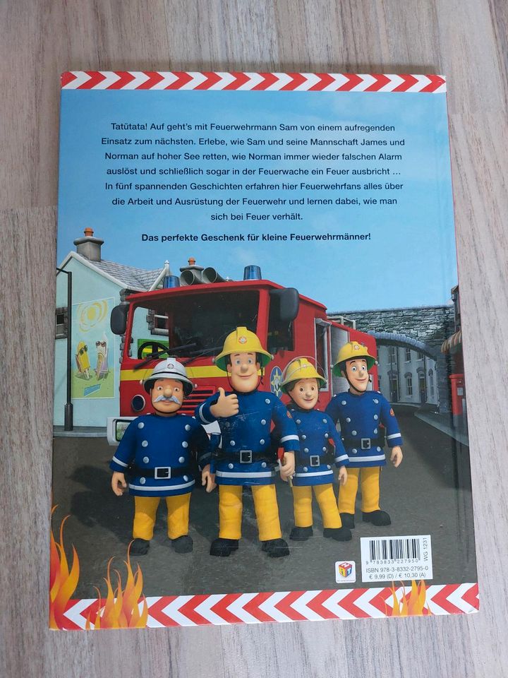 ❤️BÜCHER GESCHICHTEN FEUERWEHRMANN SAM❤️ in Barsinghausen