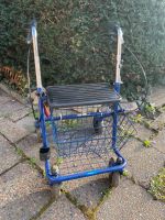 Thuasne Rollator in blau gebraucht Berlin - Pankow Vorschau