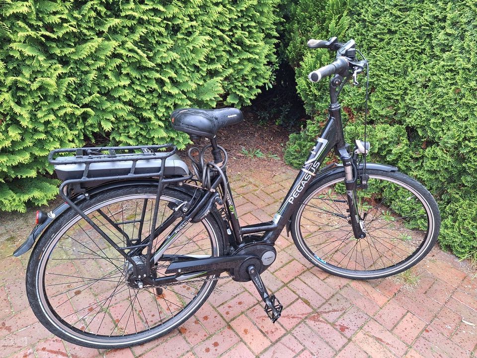 Damen E-Bike Pegasus in Recke