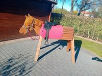 Holzpferd von Wildkinder Niedersachsen - Blender Vorschau