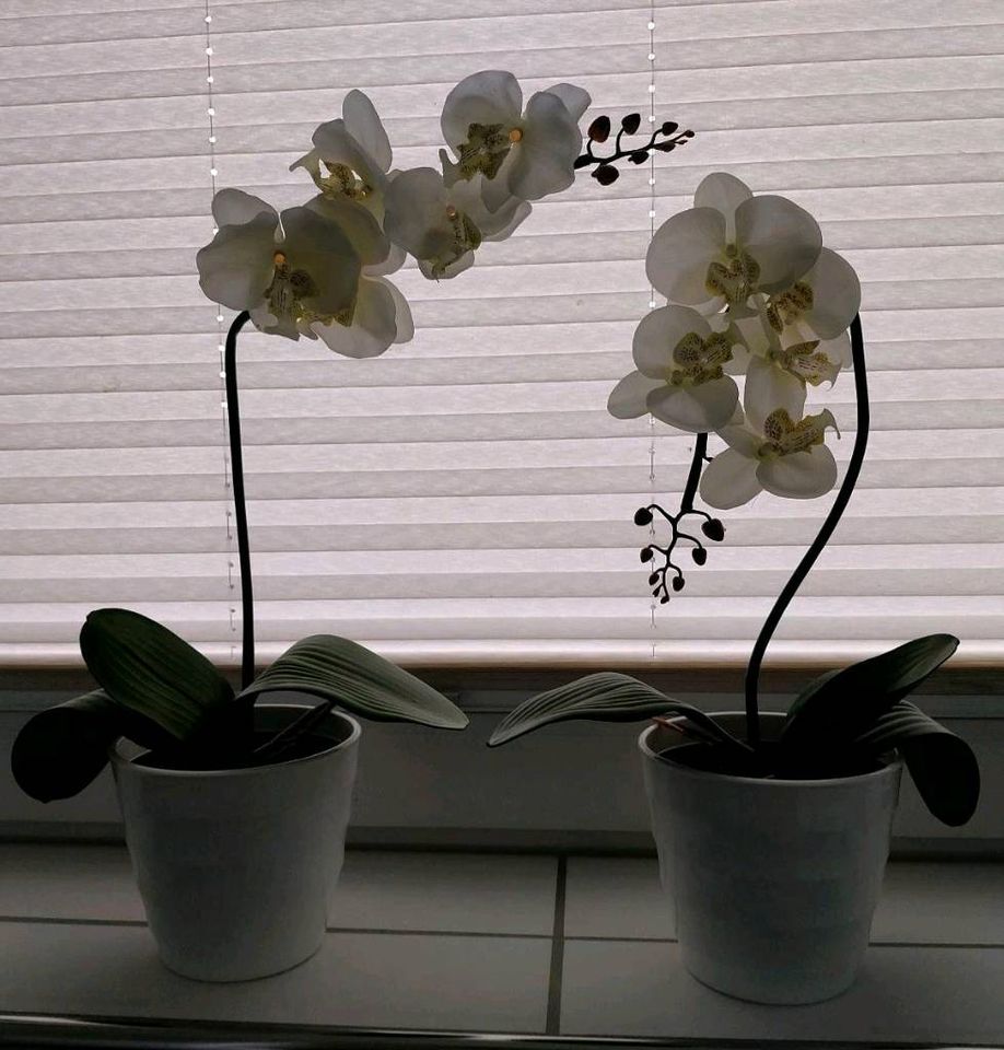 Orchideen künstlich  Marke GLOBO in Detmold