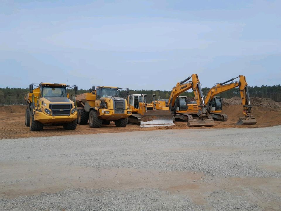 BAUMASCHINE ZU VERMIETEN in Grünheide (Mark)