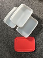 Tupperware Freeze N’ Fresh 3 Gefrierboxen zu je 675 ml Baden-Württemberg - Hambrücken Vorschau