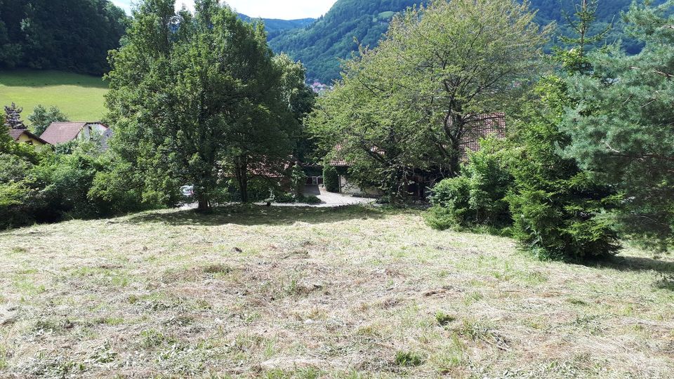 Lage, Lage, Lage. Bauplatz Landkreis Reutlingen in Lichtenstein