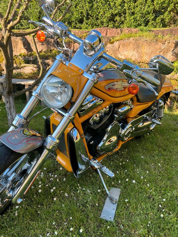 Harley Davidson V Rod Vrscse2 1250ccm in Wertheim