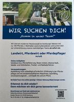 Job im Pferdebetrieb Altona - Hamburg Rissen Vorschau