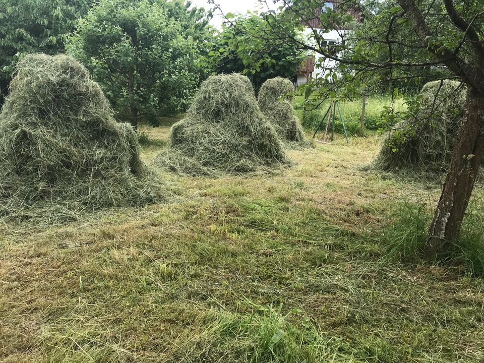 Heu von der Streuobstwiese in Nattheim