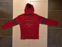 Puma Hoodie Größe S Hessen - Rodgau Vorschau