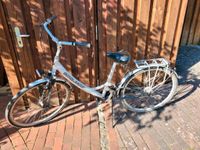 Damenfahrrad von Bergamont Niedersachsen - Jesteburg Vorschau