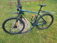 Mountainbike Orbea MX 40 XL 29" Shimano Scheibenbremse hydraulisc Berlin - Neukölln Vorschau