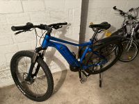 E-bike Fanthom E+ Niedersachsen - Winsen (Luhe) Vorschau