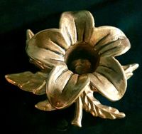 Kerzenständer Jugendstil Blatt Blüte Messing Gold Halter 70er Niedersachsen - Seelze Vorschau