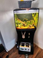 Aquarium inkl Schrank Niedersachsen - Bad Pyrmont Vorschau