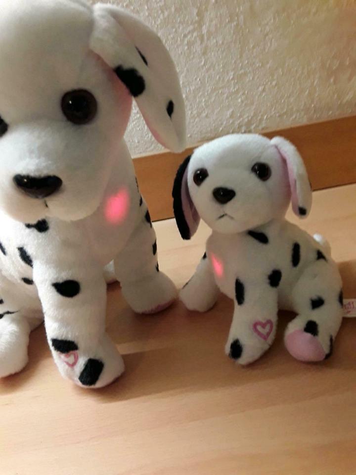 Hunde Mutter mit Kind, bellen,leuchten bei Trennung zusammentreff in Lübeck