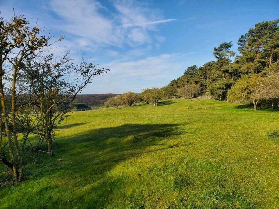 Bauwagen/Schäferwagen - Urlaub in der Eifel auf dem Bauernhof in Nettersheim