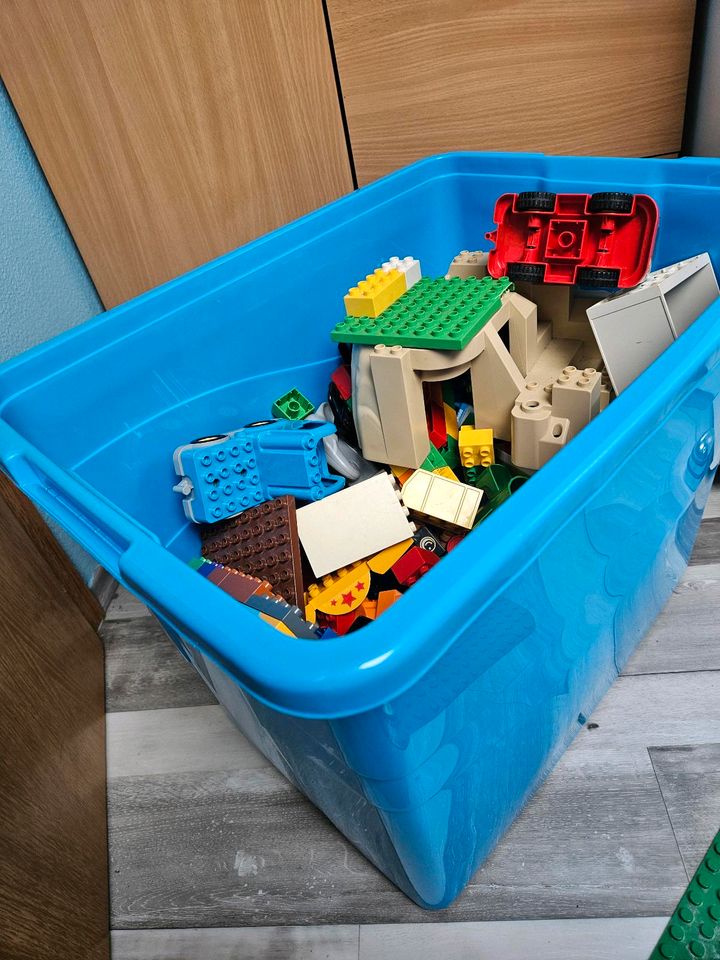 Lego Duplo gemischt in Hohenstein