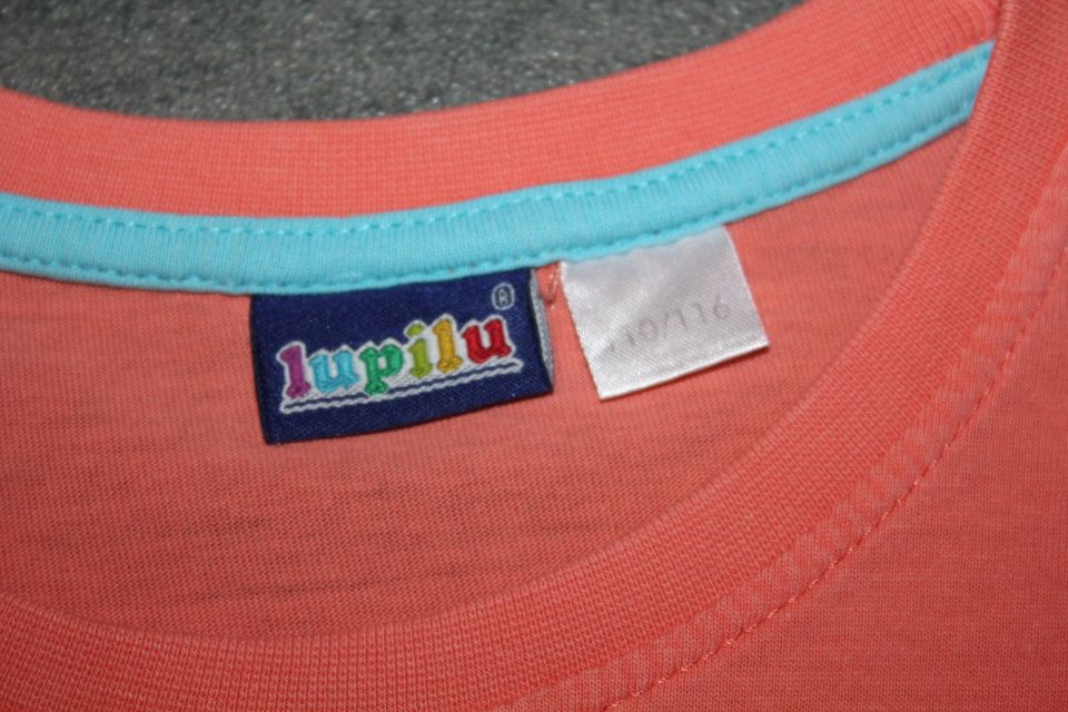 Lupilu Sommer Set / T-Shirt, Shorts, 2 Tücher / Größe 110 / 116 in Meppen