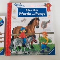 Wieso? Weshalb? Warum? - Alles über Pferde und Ponys Baden-Württemberg - Neckartenzlingen Vorschau