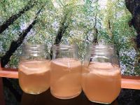 Kombucha Scoby Entgiftung Darmreinigung Bio Bayern - Unterreit Vorschau