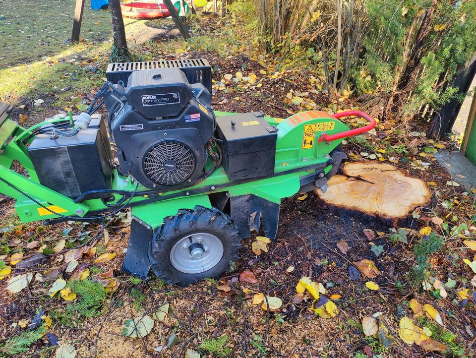 Wurzel entfernen, Fällungen, Stumpf entfernen, Rodung in Heidenheim an der Brenz