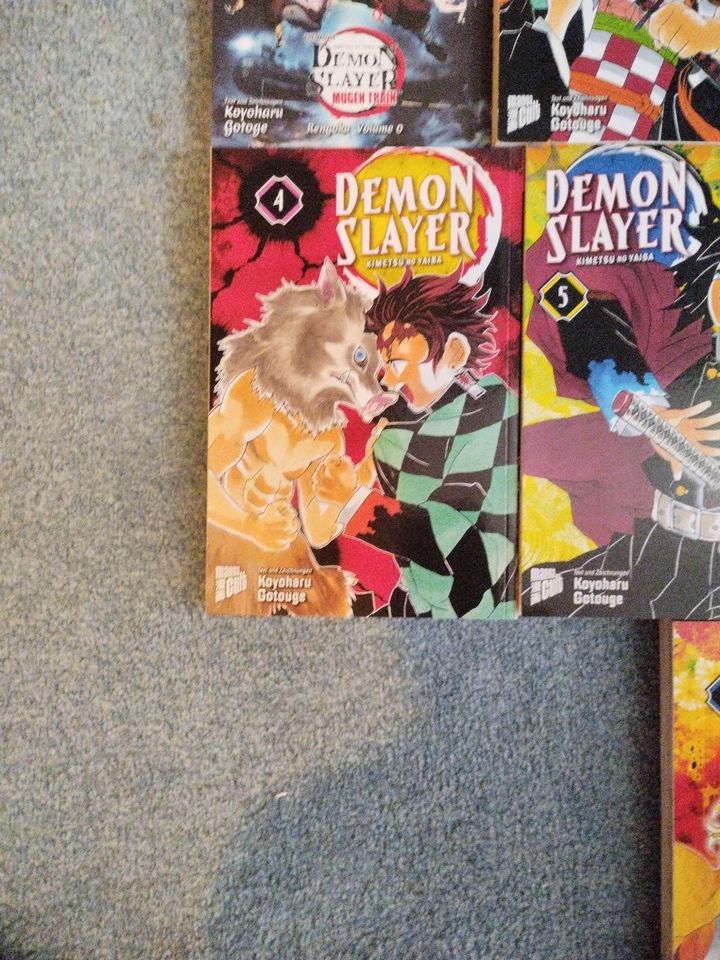 DEMON SLAYER Mangas 0-8 in Eggersdorf