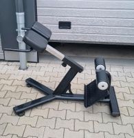 Matrix Rückenstrecker Hyperextension Gym Nordrhein-Westfalen - Weilerswist Vorschau