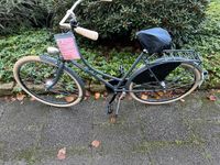 NEU Stadtrad Bremen Hollandrad 28 Zoll  RH 55cm Shimano 3 Gang Bremen - Schwachhausen Vorschau