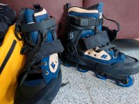 Inline Skates von K2 Größe 42,5 Nordrhein-Westfalen - Rheine Vorschau