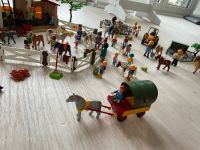 Playmobil Bauernhof mit viel Zubehör Sachsen - Kamenz Vorschau
