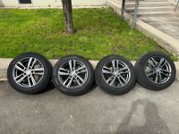 Set Winterräder 205/55 R16 Škoda/Seat/VW Stuttgart - Stuttgart-Ost Vorschau