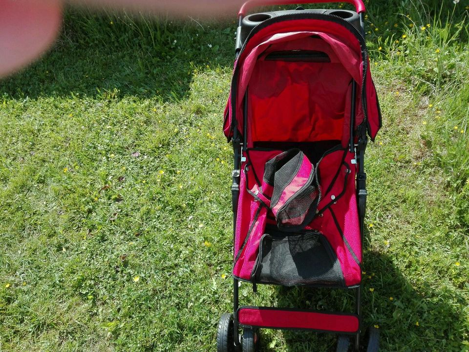 Kinderwagen, Buggy, Puppenwagen in Beckingen