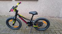 16 zoll Kinderfahrrad Brotterode-Trusetal - Trusetal Vorschau