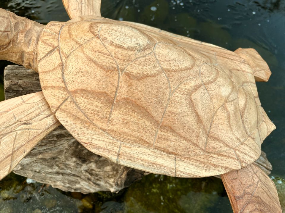 Schildkröte 60cm Meeresschildkröte Wasserschildkröte Holz in Essen